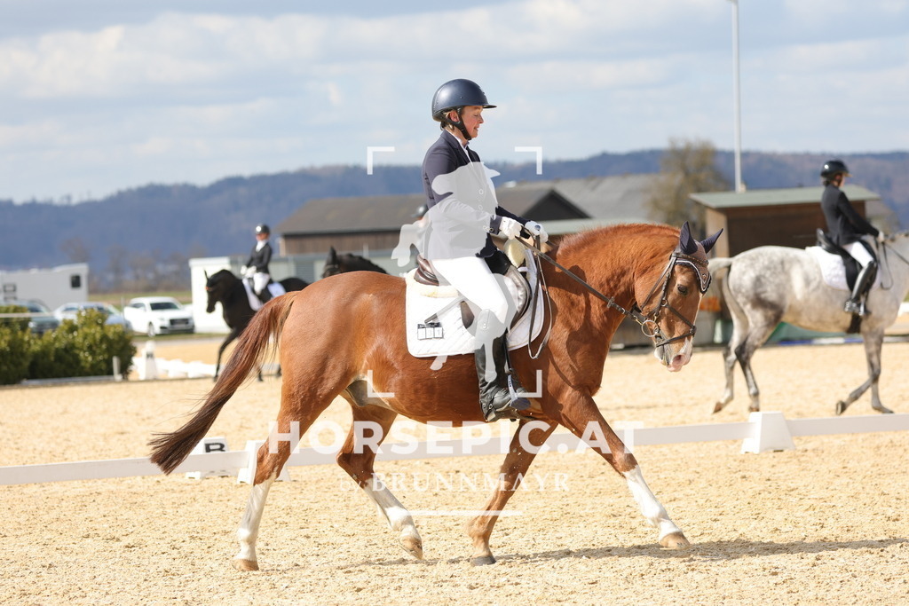 0P6A7640 | Willkommen bei Brunnmayr - Design & Fotografie – Ihrem Spezialisten für Reitturniere und Pferdeveranstaltungen in Oberösterreich, Salzburg und Bayern! Seit über 17 Jahren sind wir leidenschaftlich dabei.