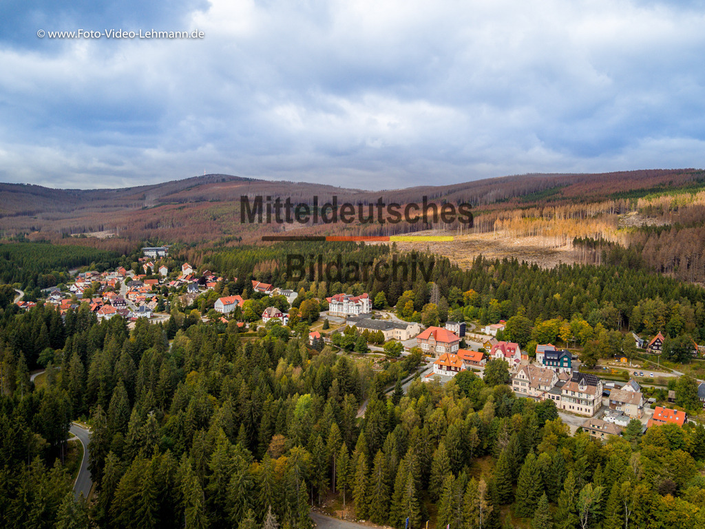 innerdeutsche Grenze Grünes Band Sorge Benneckenstein Schierke-0015-2 | Die innerdeutsche deutsch-deutsche Grenze, das Grüne Band - Realisiert mit Pictrs.com