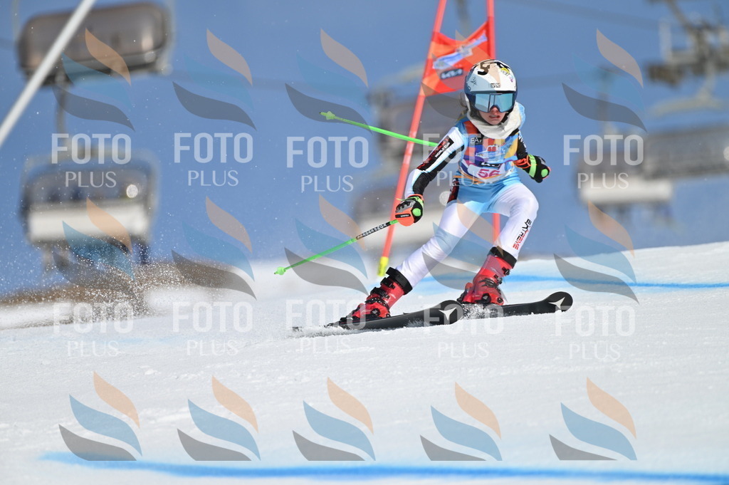 BGV_8642 | holidayphoto