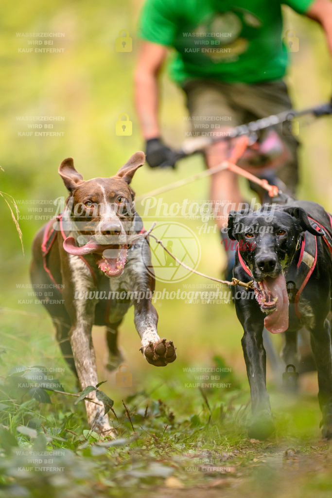 MompixPhotography_Yens2025_B2-47 | PayLife