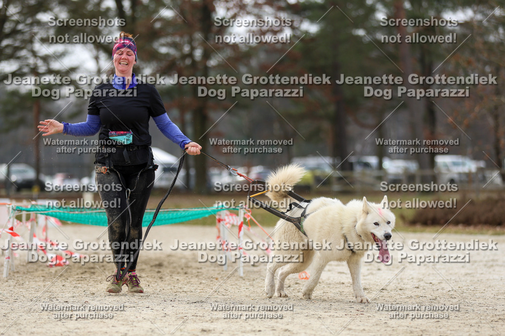 Dog Paparazzi - Strongdog North Mrz26-5750 | Dog Paparazzi Jeanette Grottendiek Fotografie & Videografie - Realisiert mit Pictrs.com