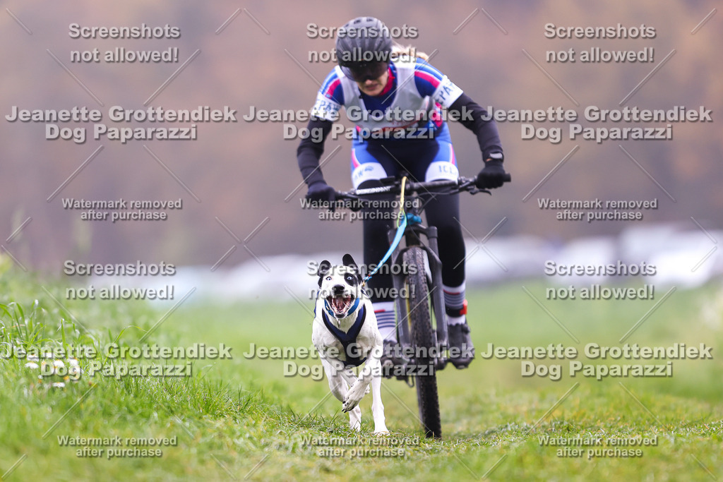 Dog Paparazzi - Visbeck 25 -164 | Dog Paparazzi Jeanette Grottendiek Fotografie & Videografie - Realisiert mit Pictrs.com