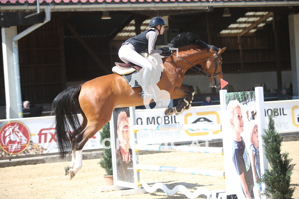 PP014813 | Willkommen bei Brunnmayr - Design & Fotografie – Ihrem Spezialisten für Reitturniere und Pferdeveranstaltungen in Oberösterreich, Salzburg und Bayern! Seit über 17 Jahren sind wir leidenschaftlich dabei.