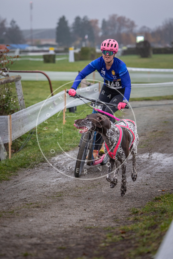 CaniXpix_0L8A0664 | Hundefotografie, Tierfotograf, Pfotenfotografie, Fotoshooting Hund, Hunde Portrait, Hundesport, Hundeportraits, Heideshooting, Hunde, Sportfotograf, Hundefotograf, Turnierhundsport, THS,  - Realisiert mit Pictrs.com