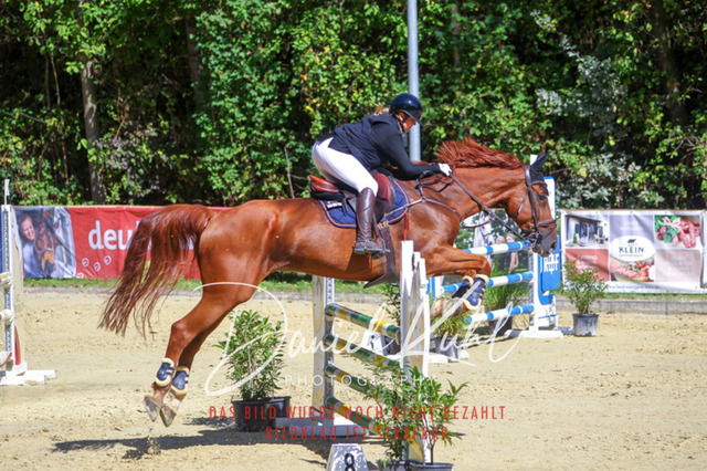 DKP43186 | Deine Turnierfotos vom Reitturnier online kaufen: Dressur, Springen & Siegerehrung. Professionelle Pferdefotografie aus dem Rheinland – als Download & Print.Alternative: Turnierfotograf für den Pferdesport: Finde deine Fotos von Dressur- und Springturnier