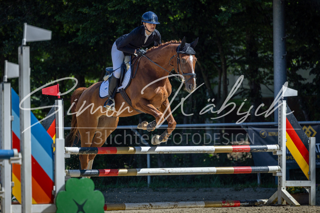 20260704-_3LI7526 | Tierfotografie Pferde, Hunde, Katzen, Haustiere.
Turnierfotografie Reitturniere, Reiten, Springreiten, Dressur in Hanau, dem Main-Kinzig-Kreis und dem Rhein-Main- Gebiet um Frankfurt