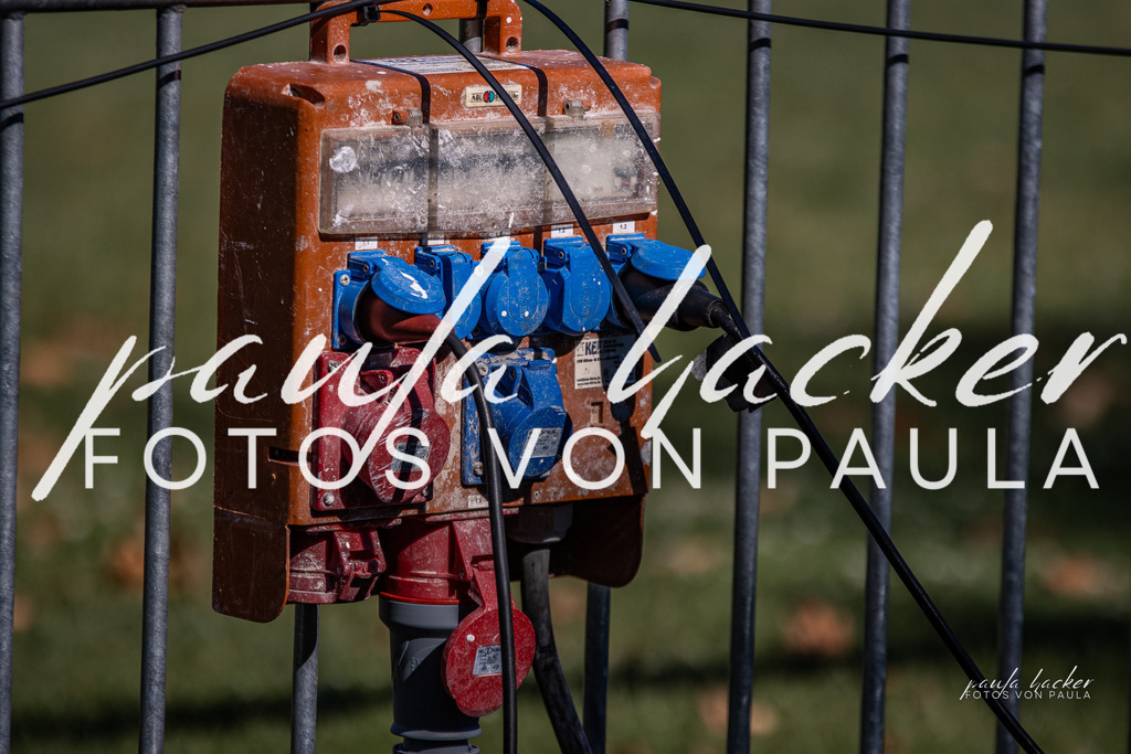 IMG_9892 | Erleben Sie dynamische Sport- und emotionale Tierfotografie in Süddeutschland mit Fotos von Paula. Spezialisiert auf Pferde- und Hundefotografie sowie Sportevents. Kontaktieren Sie mich für einzigartige und ausdrucksstarke Bilder Ihrer besonderen Momente.