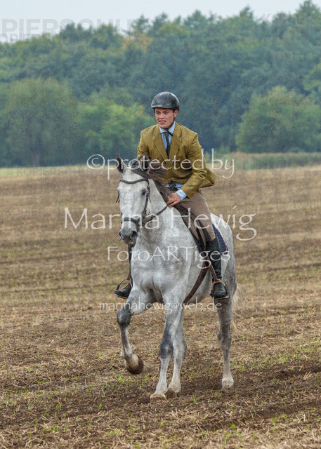 Jagd Perdoel_MarinaHewigMCH04045 | Fotografie, FotoArt, PferdesportArt, Pferdesportfotografie, Landschaftsfotografie, Reisefotografie, Reise, Pferde - Realisiert mit Pictrs.com