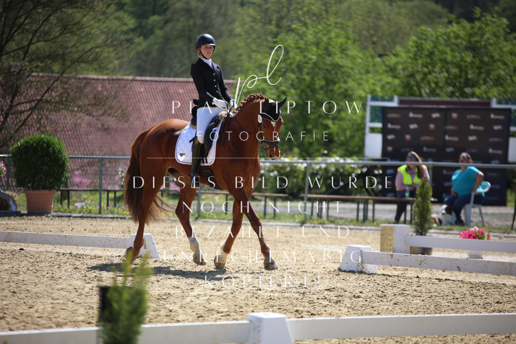 IMGT7309 | pl-fotografie