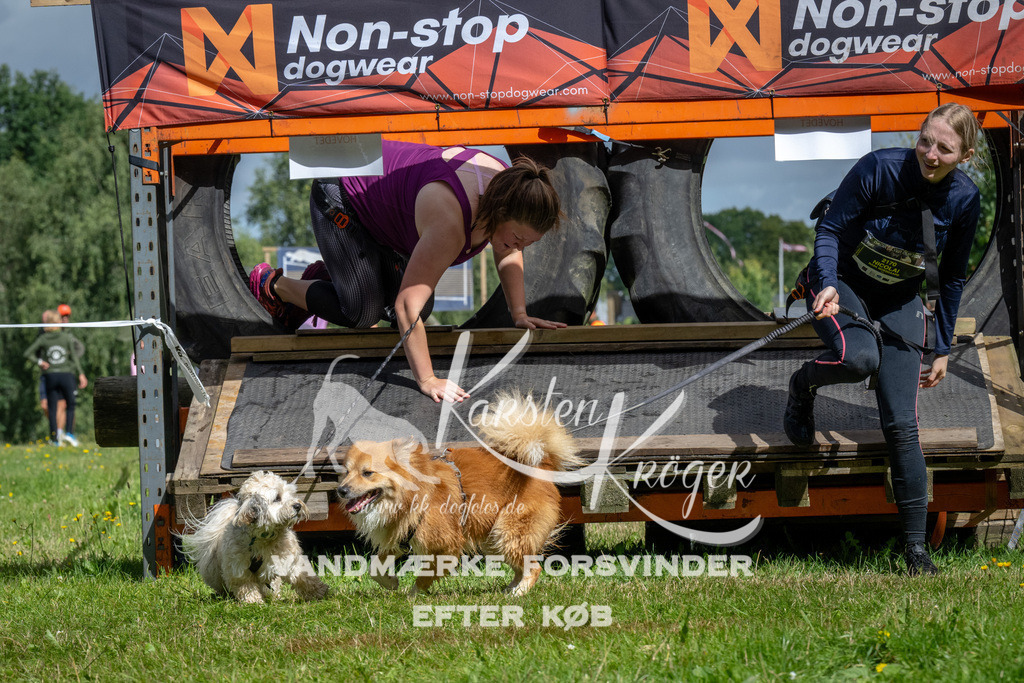1134_ZZ92588 | kk-dogfotos