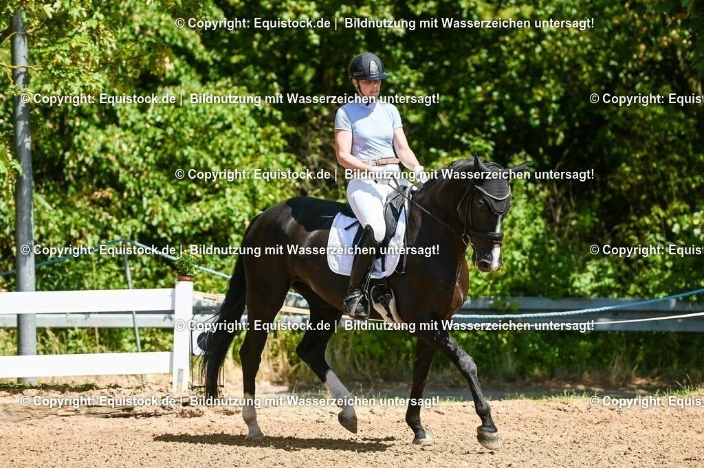 20230715_02_Dressurreiterprüfung Kl.L_0028 | equistock