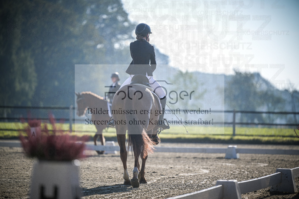 DOS_1017 | Entdecke hochwertige Reitturnierfotos von Foto Oger. Professionell, emotional und authentisch – jetzt Lieblingsmomente im Shop bestellen.Deutschlandweite Turnierfotografie. - Realisiert mit Pictrs.com