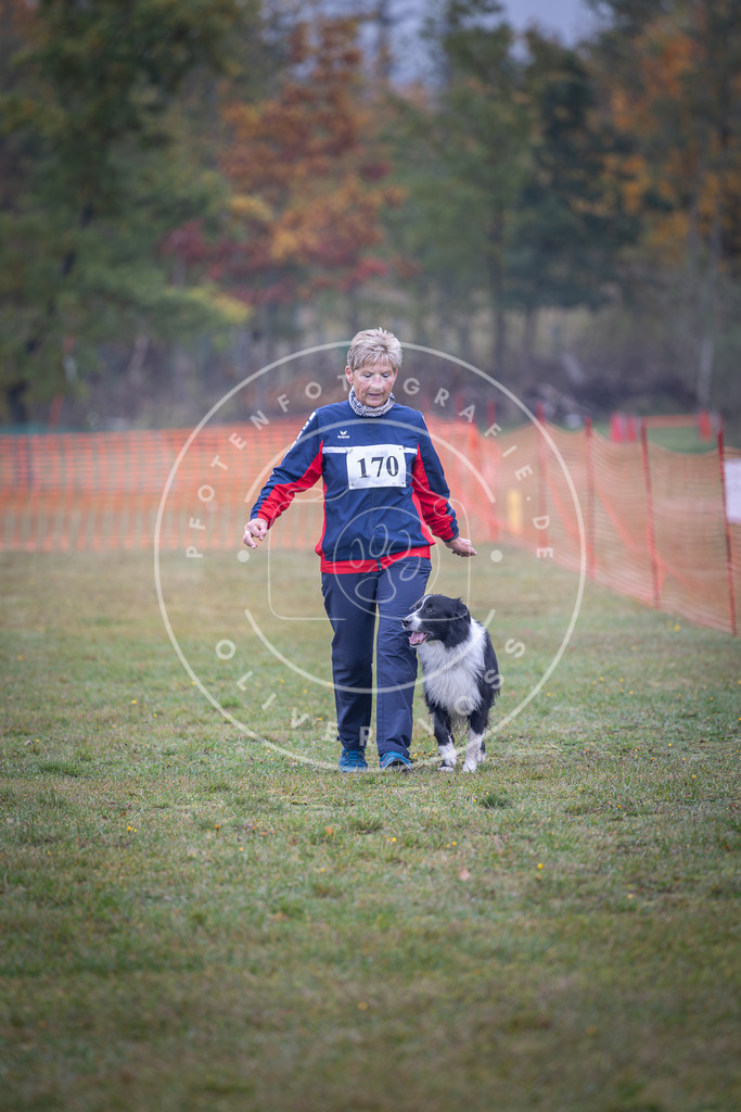 Pfotenfotografie_DV3A9104 | Hundefotografie, Tierfotograf, Pfotenfotografie, Fotoshooting Hund, Hunde Portrait, Hundesport, Hundeportraits, Heideshooting, Hunde, Sportfotograf, Hundefotograf, Turnierhundsport, THS,  - Realisiert mit Pictrs.com