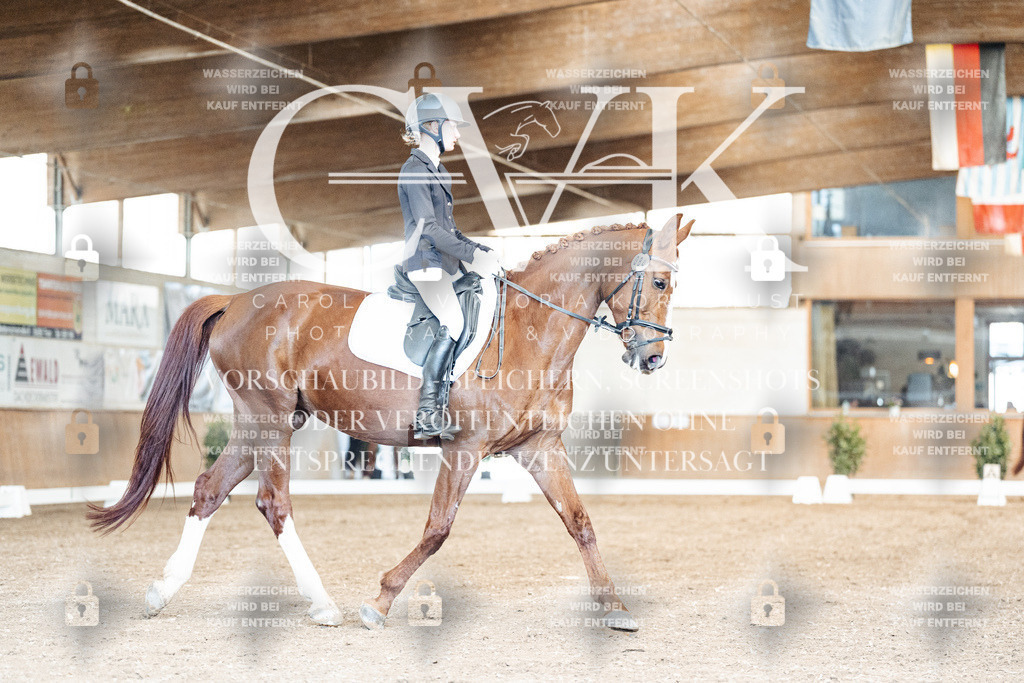 CK900950 | Turnierfotografie Pferdefotografie Trier Rheinland-Pfalz Pferdesport Reitsport Tierfotografie Sportfotografie Pferdevideo Pferdevideografie Equestrianvideography equestrianphotography  - Realized with Pictrs.com