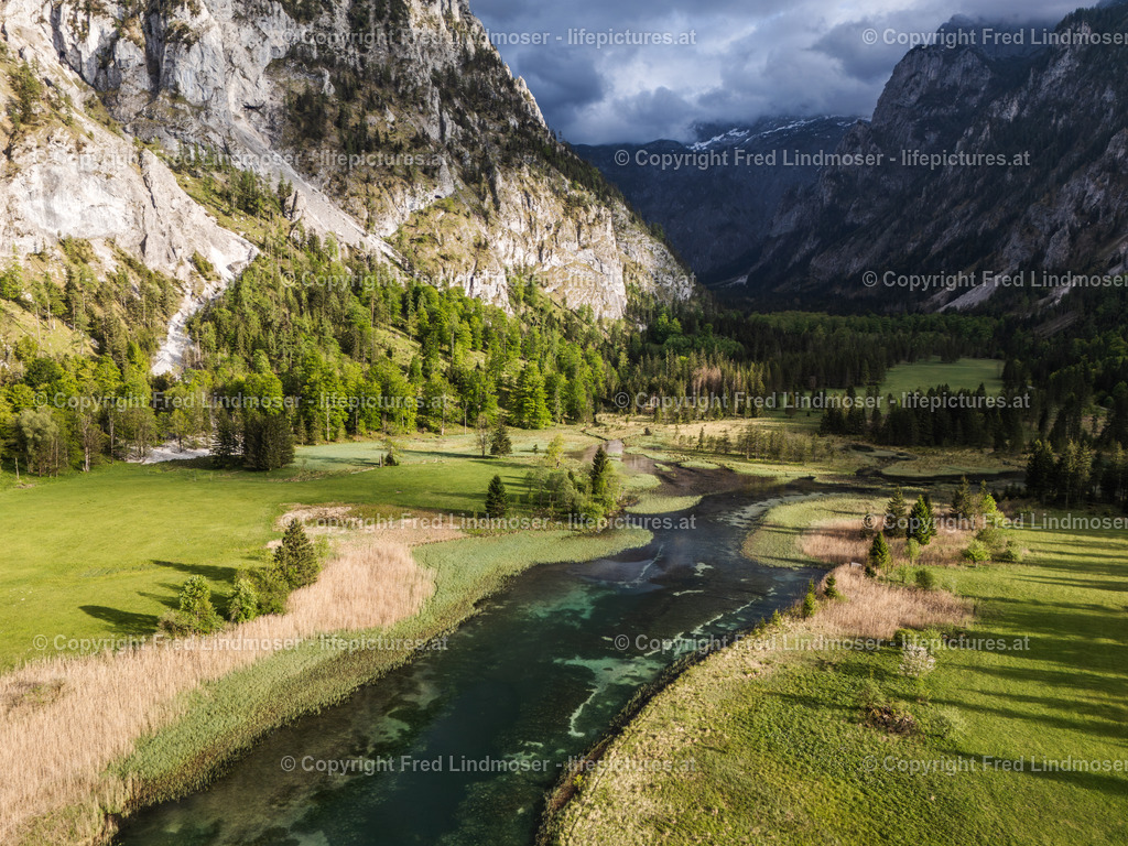 Brunnsee 15052025 _ Fred Lindmoser--7 | default - Realisiert mit Pictrs.com