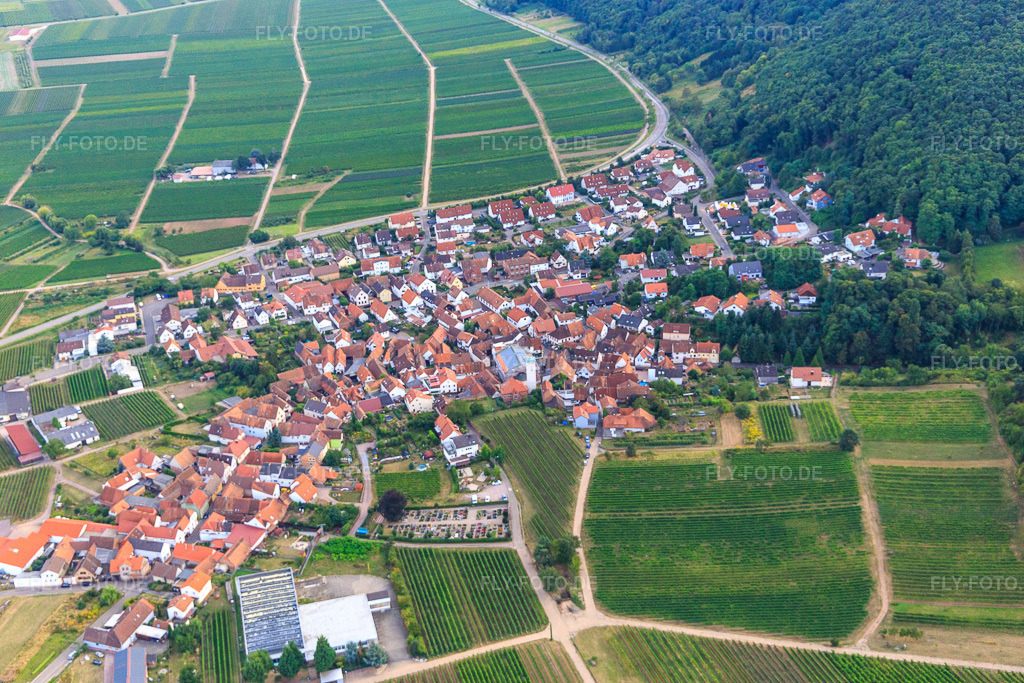 Luftbild: Dorfübersicht aus Norden in Eschbach im Bundesland Rheinland-Pfalz in Deutschland. Foto: IMG_094589.jpg vom 02.09.2016 durch Werner Riehm/FLY-FOTO.de