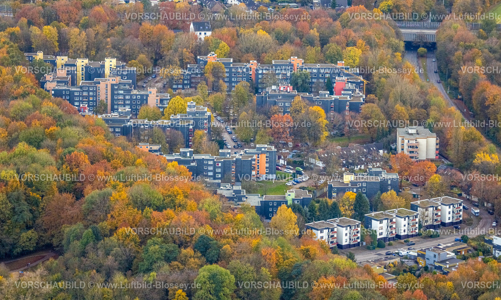 Bochum231102250 | Luftbild, Hochhäuser im Herbstwald mit herbstlichen Laubbäumen, Park am Neggenborn und Sonnenleite Straße, Langendreer, Bochum, Ruhrgebiet, Nordrhein-Westfalen, Deutschland
