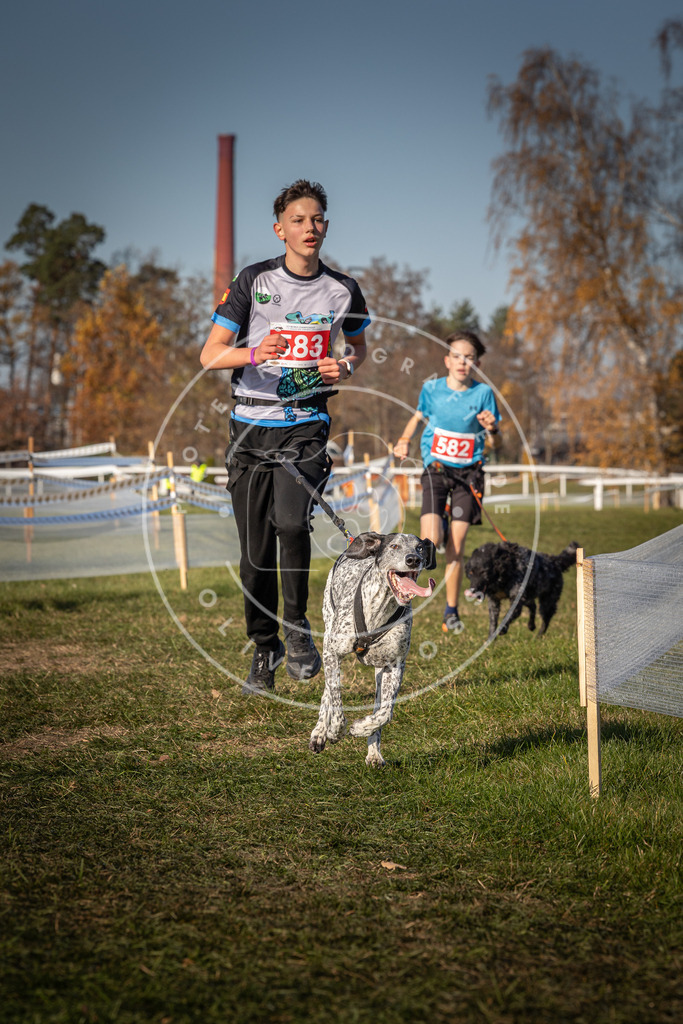 CaniXpix_0L8A8192 | Hundefotografie, Tierfotograf, Pfotenfotografie, Fotoshooting Hund, Hunde Portrait, Hundesport, Hundeportraits, Heideshooting, Hunde, Sportfotograf, Hundefotograf, Turnierhundsport, THS,  - Realisiert mit Pictrs.com