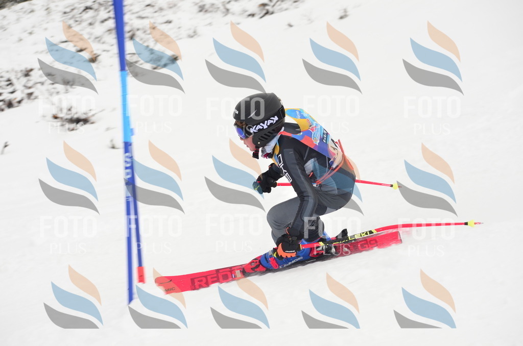 C1761 | holidayphoto