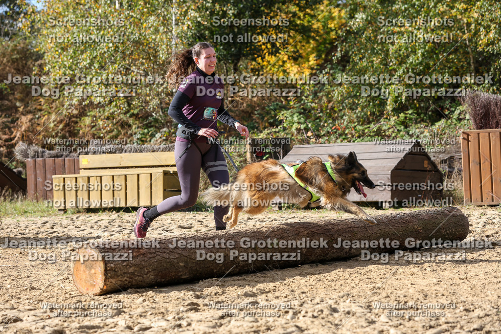 Dog Paparazzi - Strongdog 10-25-5711 | Dog Paparazzi Jeanette Grottendiek Fotografie & Videografie - Realisiert mit Pictrs.com