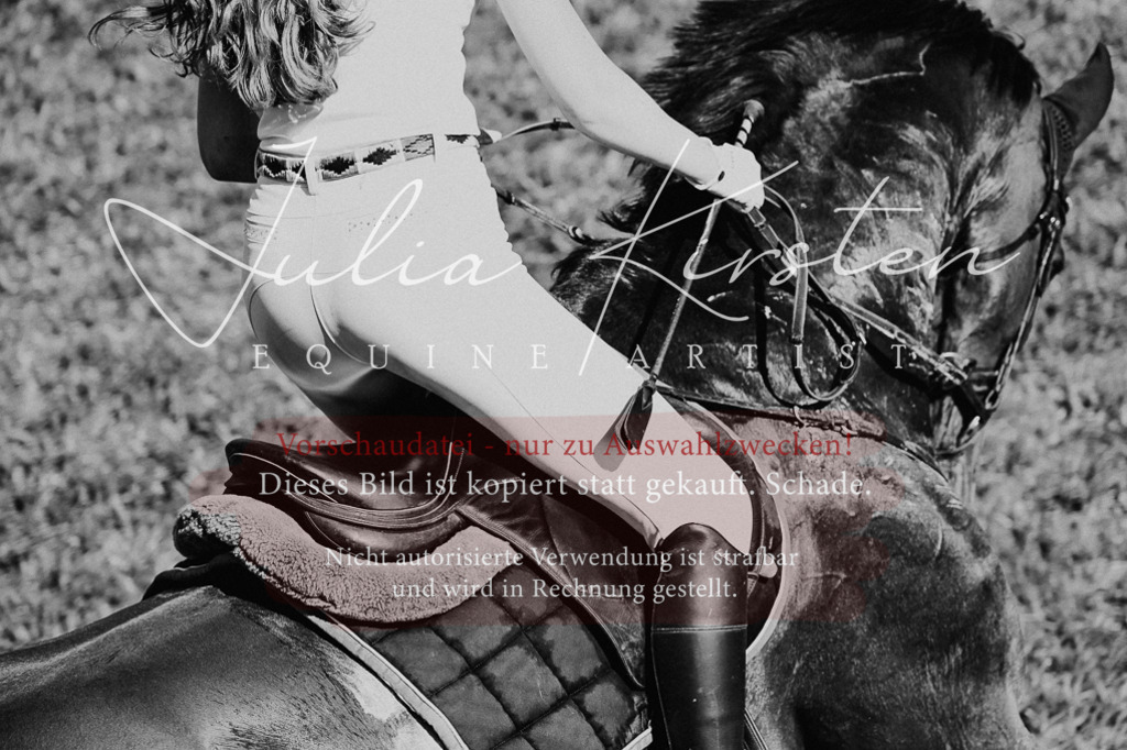 DSC_1911 | Pferde- und Turnierfotografie in Westsachsen. Pferdeportraits, Auftragszeichnungen und intuitive Kunst.