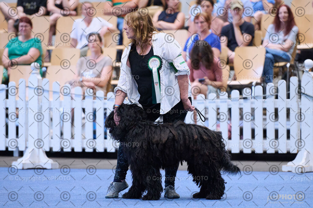 202406_ÖKV-IHA-Tulln24_DSC_3793 | proPHOTO - Realisiert mit Pictrs.com