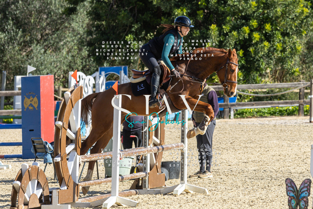 IMG_3632 | s-jay-photography - Realisiert mit Pictrs.com