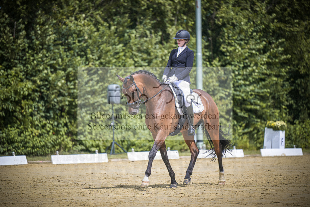 DOS_2810 | Entdecke hochwertige Reitturnierfotos von Foto Oger. Professionell, emotional und authentisch – jetzt Lieblingsmomente im Shop bestellen.Deutschlandweite Turnierfotografie. - Realisiert mit Pictrs.com