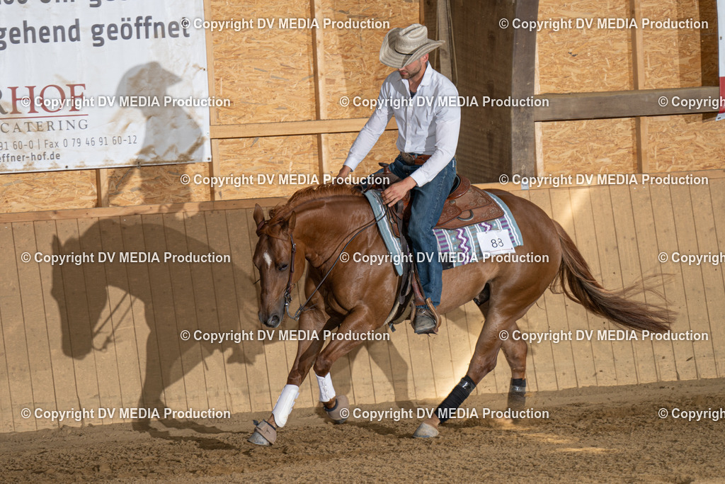 DSC00343 | dv-media-shop - Realisiert mit Pictrs.com