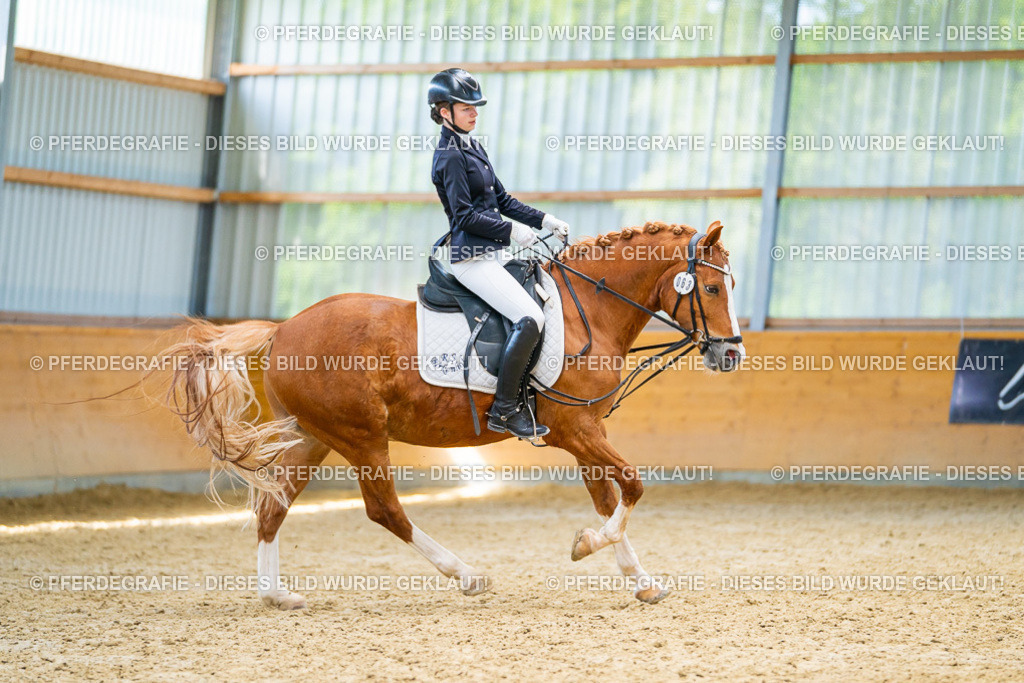 DSC08614 | Pferdegrafie