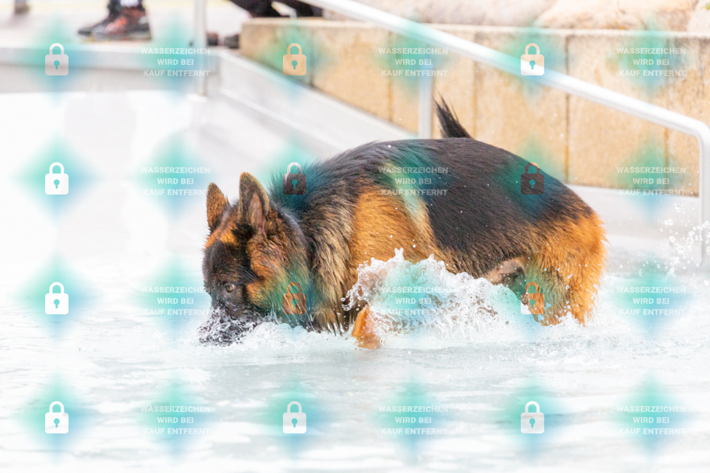 _HP_7443_1000o | HetPix, HetPix Fotodesign, Fotografie, Fotodesign, Webshop, Sportfotografie, Portraitfotografie, Onlineshop, Sportfotografie, Polch, Motorsportfotografie, Eventfotografie