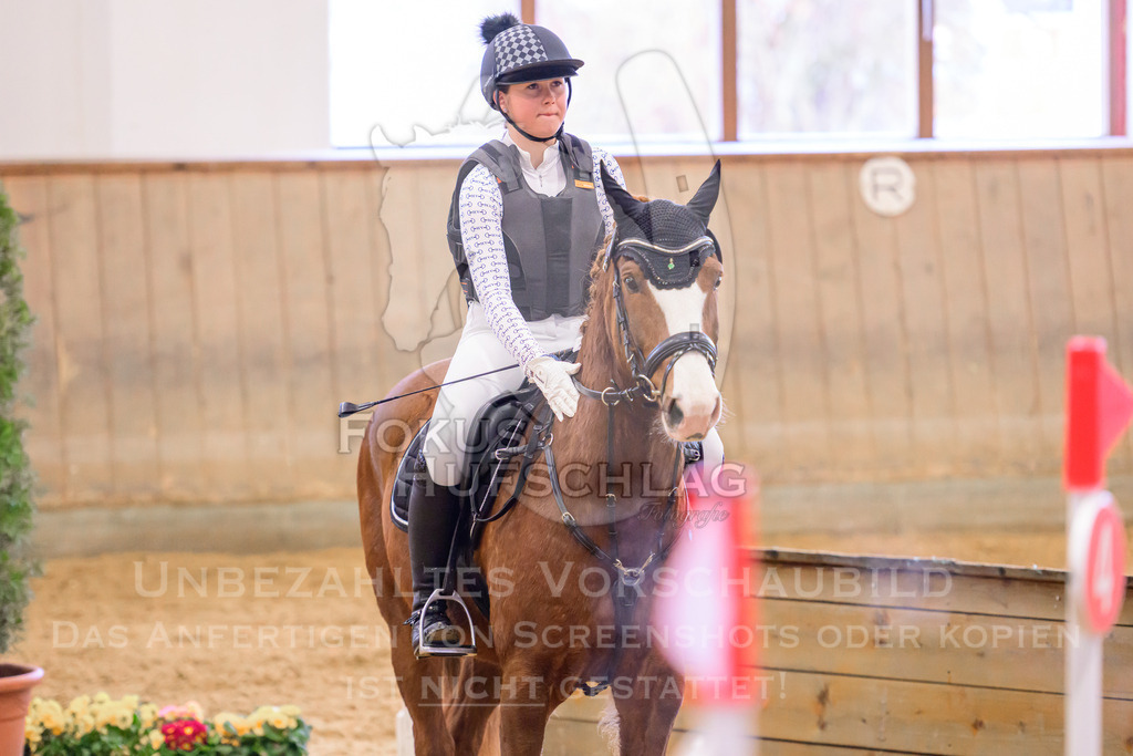 29032026-Schwaiganger-Prfg03-1-0917 | Fokus Hufschlag Fotografie - Realisiert mit Pictrs.com