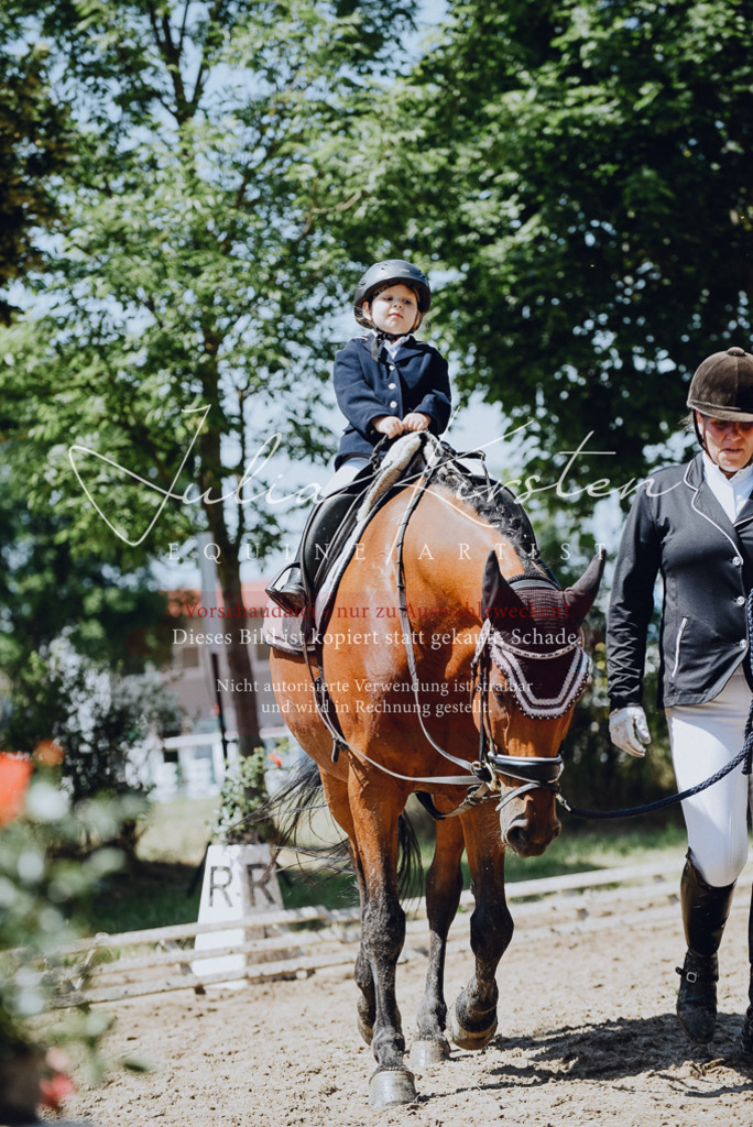 DSC_2520 | Pferde- und Turnierfotografie in Westsachsen. Pferdeportraits, Auftragszeichnungen und intuitive Kunst.