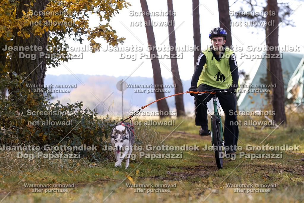 Dog Paparazzi - Elsholz 25 -151 | Dog Paparazzi Jeanette Grottendiek Fotografie & Videografie - Realisiert mit Pictrs.com