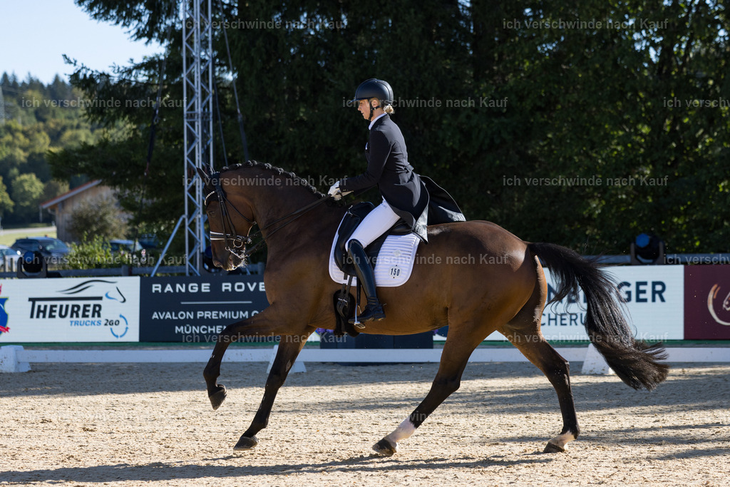 FHC2026_P07_150_17309 | working equitationturnier fotograf videograf stoibphotography marixx film working equitation deutschland reitsport turnierfotografie eventfotografie equestrian events