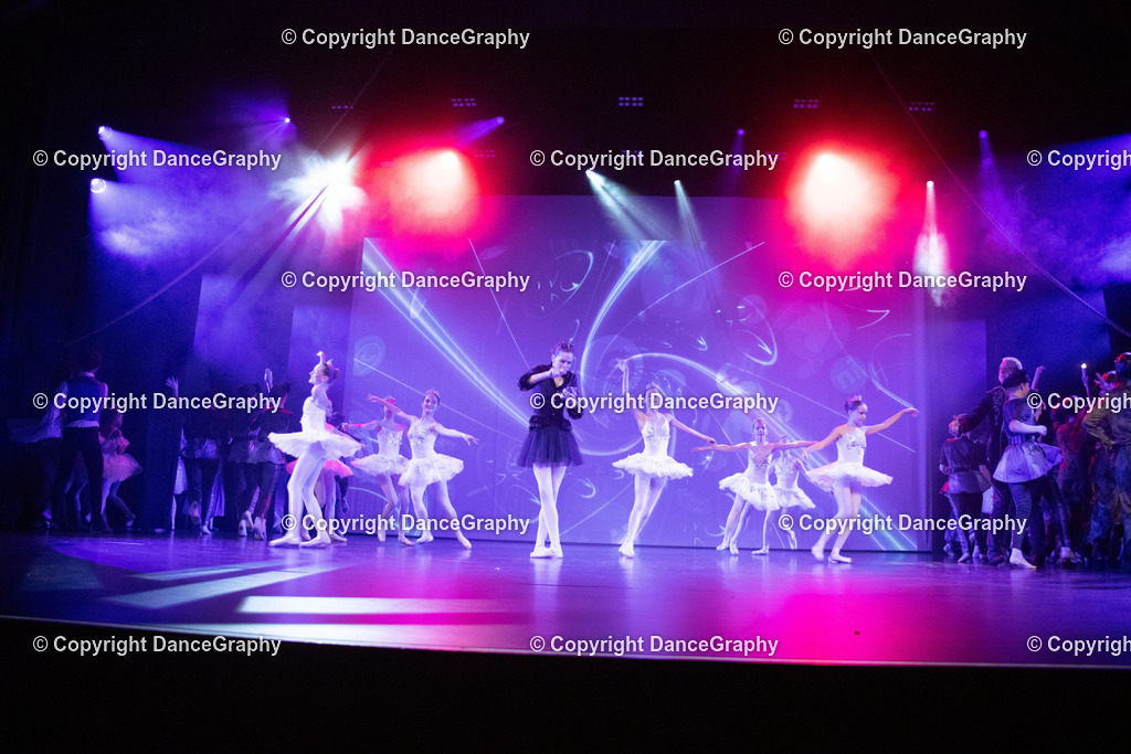 GPHY3443 | DanceGraphy - Realisiert mit Pictrs.com