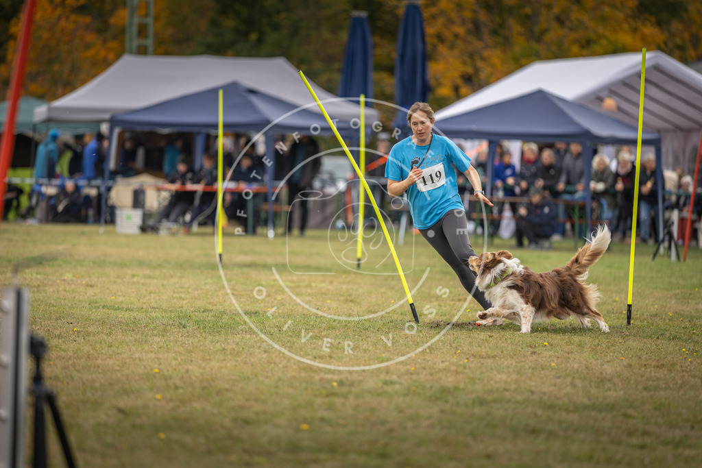 Pfotenfotografie_DV3A7593 | Hundefotografie, Tierfotograf, Pfotenfotografie, Fotoshooting Hund, Hunde Portrait, Hundesport, Hundeportraits, Heideshooting, Hunde, Sportfotograf, Hundefotograf, Turnierhundsport, THS,  - Realisiert mit Pictrs.com