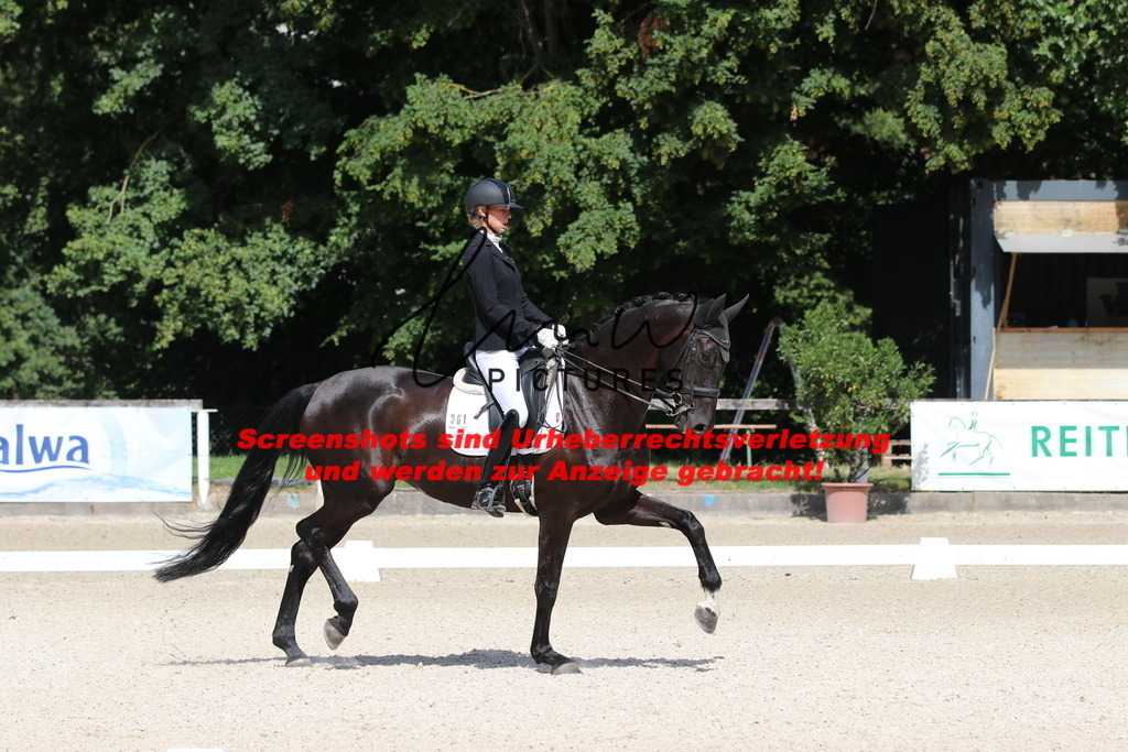 IMG_5295 | lmwpictures - Realisiert mit Pictrs.com