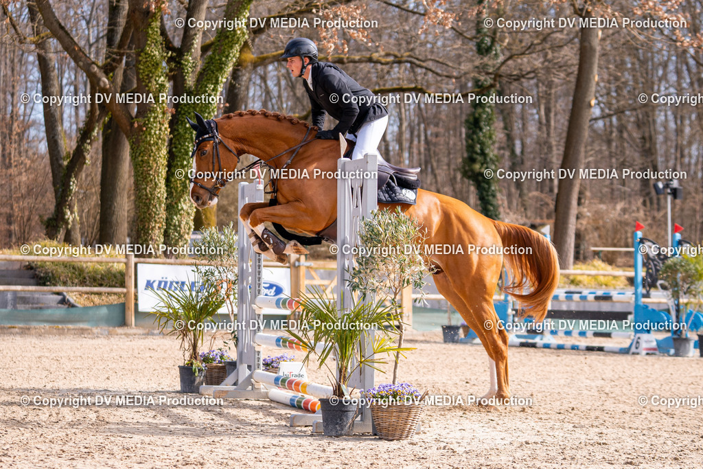 Kranichstein Tag 1-531 | dv-media-shop - Realisiert mit Pictrs.com