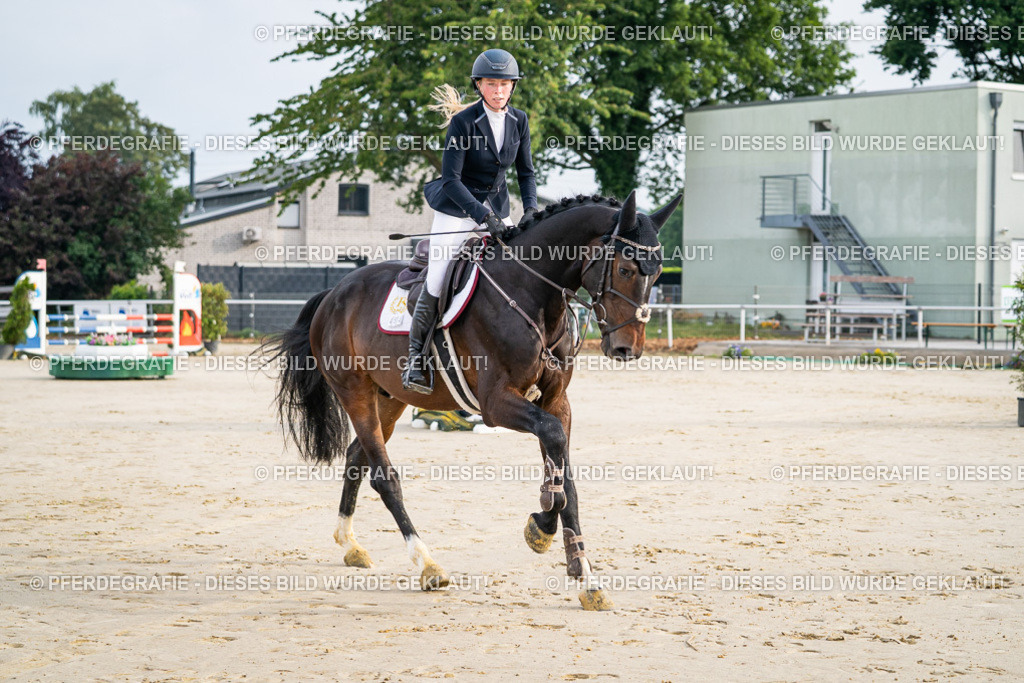 DSC07764 | Pferdegrafie