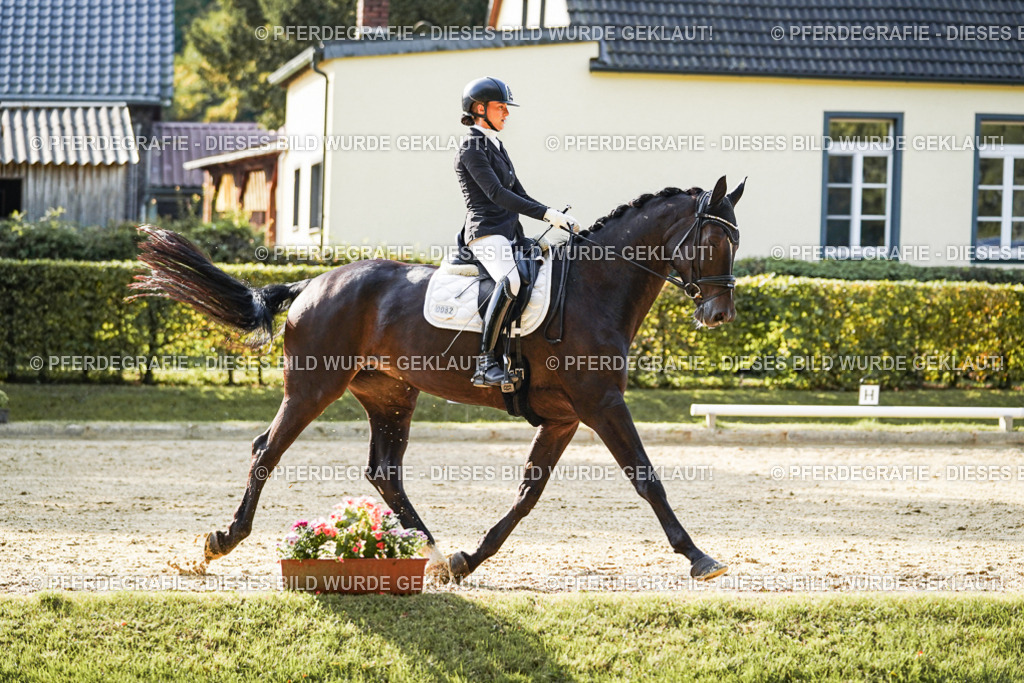 DSC05541 | Pferdegrafie