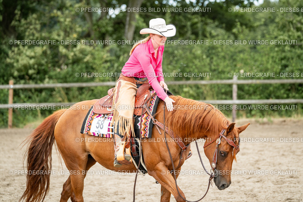 DSC02187 | Pferdegrafie