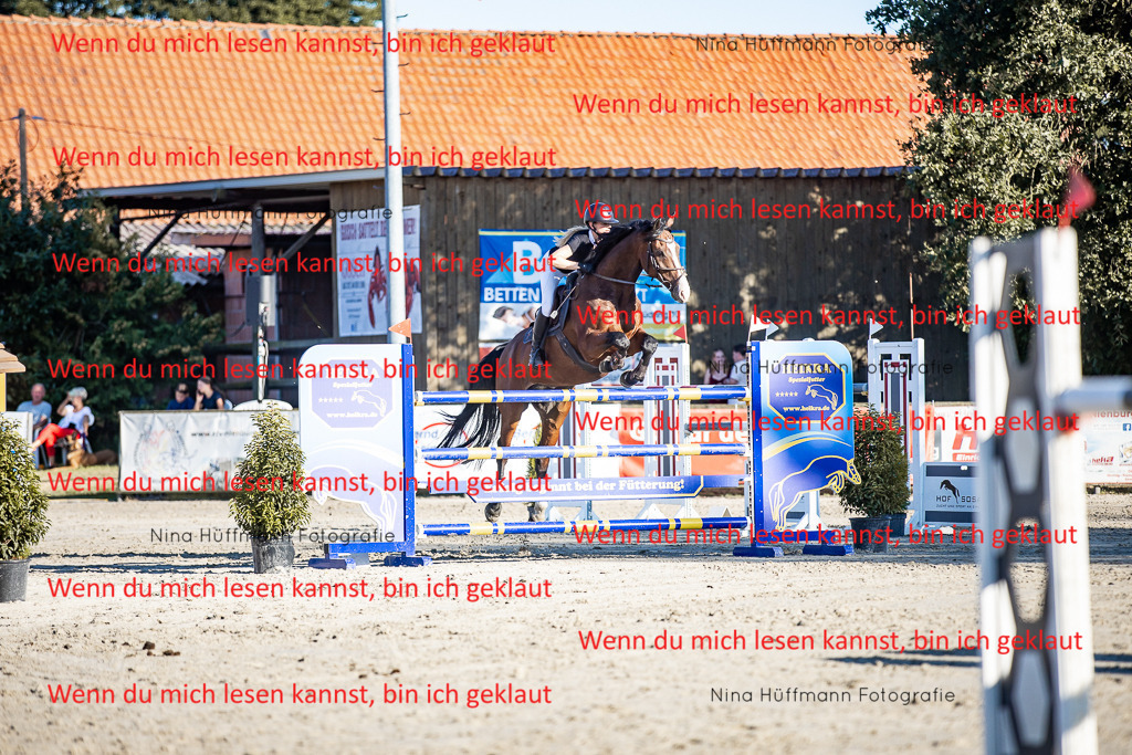 BK1A8328 | Turnierbilder Turnierfotos Nina Hüffmann Turnierfotografie Pferdefotografie Tierzeichnung Haustierzeichnung Pferdezeichnung Hundezeichnung Videograf  - Realisiert mit Pictrs.com