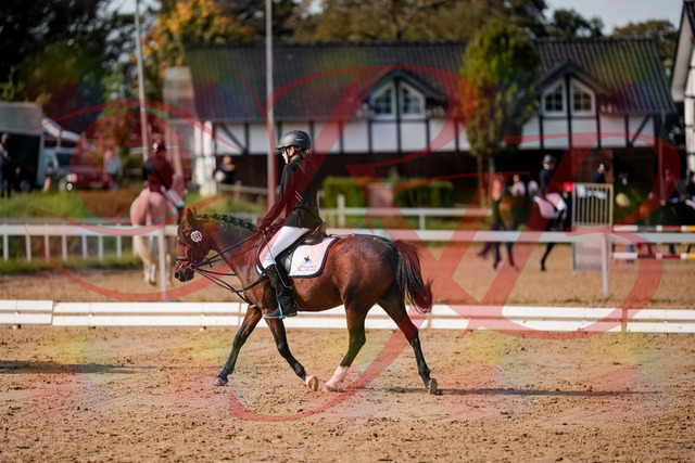 2026_10_03_Siefer-Hof_122031_Z63_43296585 | Professionelle Reitsport-, Turnier- und Eventfotografie von Robert Broda. Galerien mit ausgewählten und bearbeiteten Bildern direkt online ansehen und bestellen.