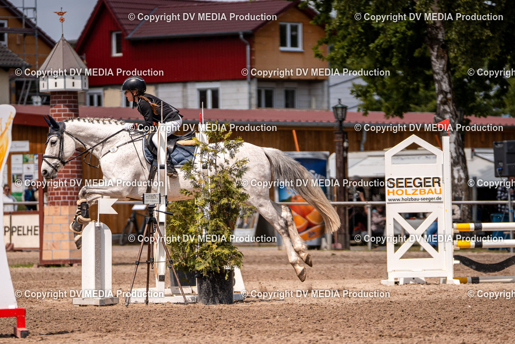 Eppelheim Tag 3-452 | dv-media-shop - Realisiert mit Pictrs.com