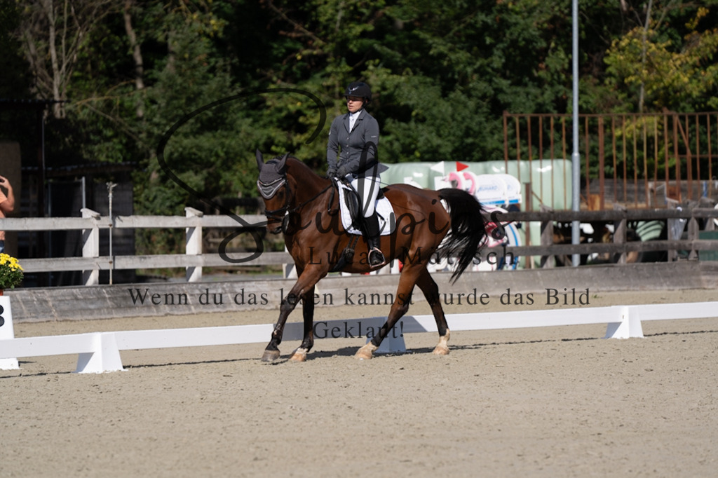 A7V07020 | Turnier/Reitfotograf
