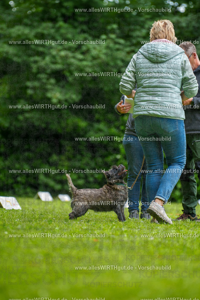 @allesWIRTHgut_Tierfotografie - www.allesWIRTHgut.de - 7R504512 | Professionelle Tierfotografie in Mönchengladbach von Daniel Wirth (allesWIRTHgut). Liebevolle & natürliche Bilder von Hunden & Katzen für unvergessliche Erinnerungen.