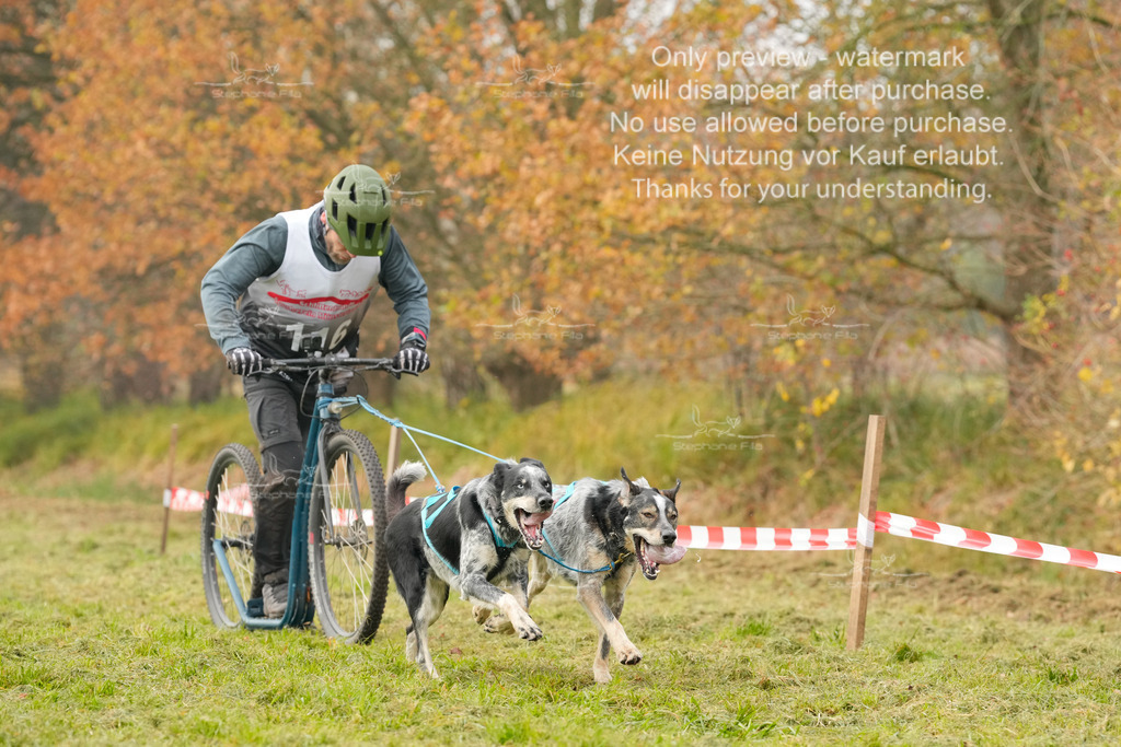 Visbeck_Sa_DS2DR2-106 | stephaniefillaphotographie - Realisiert mit Pictrs.com