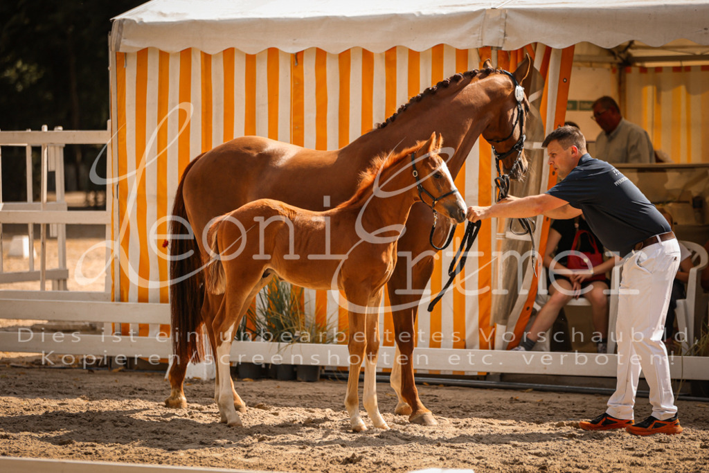 09.DoWBD00006 | Leoni Ertmer Photography - Realisiert mit Pictrs.com