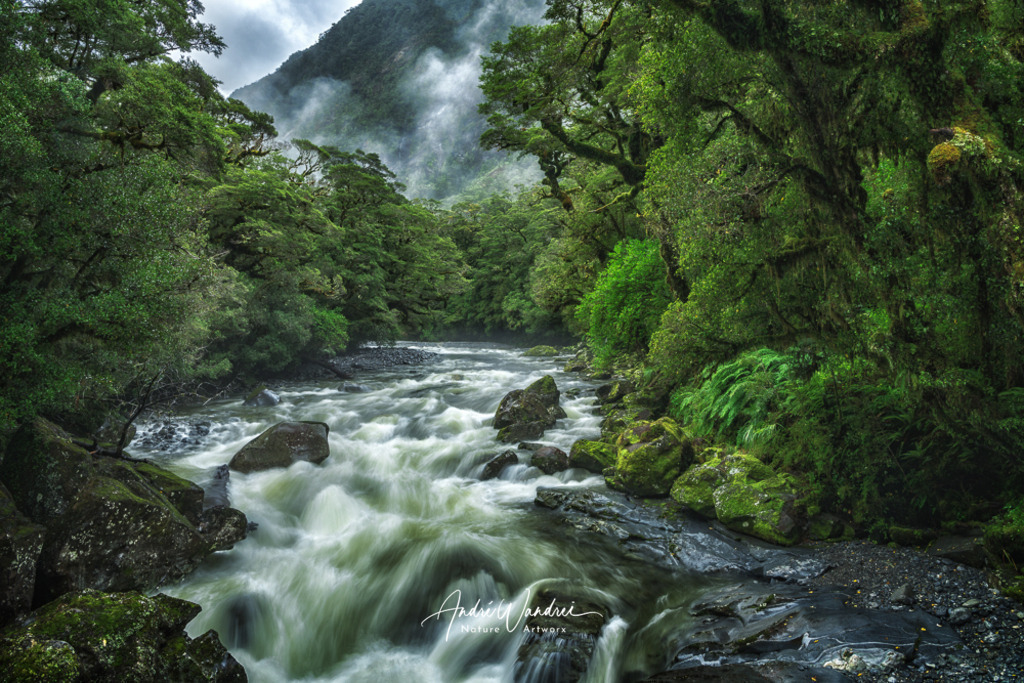 Der Fluss ins Grüne | Andre Wandrei - Nature Artworx - Realisiert mit Pictrs.com